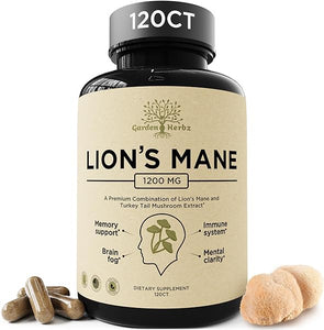 Lions Mane Supplement with Turkey Tail – Nootropic Brain Fog, Focus, Memory, Nerve Function, & Immune Support Supplement – Non-GMO 1200 Mg Lions Mane Mushroom Supplement, 120 Caps. in Pakistan
