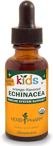 Herb Pharm Kids Certified-Organic Alcohol-Free Echinacea Glycerite Liquid Extract, 1 Ounce in Pakistan in Pakistan