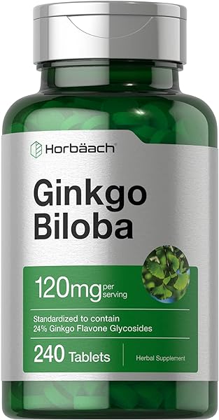 Ginkgo Biloba | 120mg | 240 Tablets | Gluten Free & Non-GMO Supplement | by Horbaach in Pakistan in Pakistan