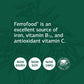 Standard Process Ferrofood - Whole Food Antioxidant, Healthy Supplement in Pakistan