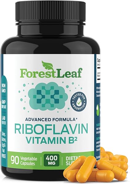 ForestLeaf Vitamin B2 Riboflavin 400mg - Energy, Skin & Cellular Health Supplement - Nervous System Support - Vitamin B 2 VIT B - Non-GMO & Gluten Free - B2 Vitamin 400mg Vegetable Capsules, 90 Count in Pakistan in Pakistan