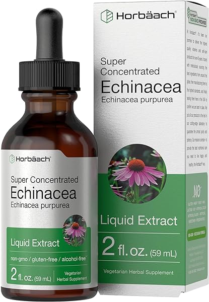 Echinacea Liquid Extract | 2 fl oz | Super Concentrated Drops | Alcohol Free, Vegetarian, Non-GMO, and Gluten Free | by Horbaach in Pakistan