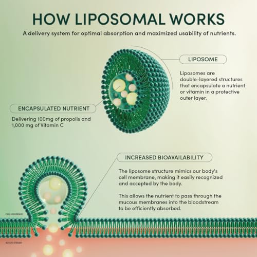 Beekeeper's Naturals Liposomal Vitamin C + Propolis, Gel, Effective Bio-Available Immune Support Delivery, 12 Ct