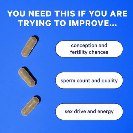 Blue Stork Men's Fertility Support: Fertility Supplements for Men, Prenatal Vitamin + Multivitamin for Men, Conception Support, Maca Root + Folate + Vitamin B12, 60 Capsules