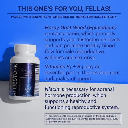 Blue Stork Men's Fertility Support: Fertility Supplements for Men, Prenatal Vitamin + Multivitamin for Men, Conception Support, Maca Root + Folate + Vitamin B12, 60 Capsules