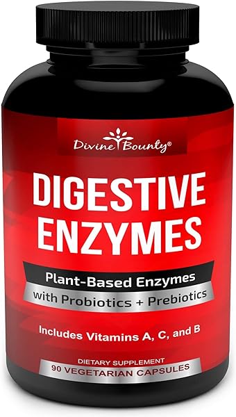 Digestive Enzymes with Probiotics & Prebiotics - Digestive Enzyme Supplements w Lipase, Amylase, Bromelain - Support a Healthy Digestive Tract for Men and Women – 90 Vegetarian Capsules in Pakistan