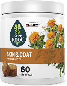 EverRoot in Pakistan