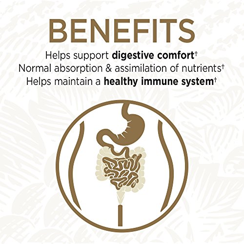 Garden of Life Primal Defense Ultra Ultimate Probiotic Formula - 15 Billion CFU and 13 Strains of Probiotics Plus HSOs for Healthy Digestive Balance, Vegetarian and Gluten Free, 90 Capsules