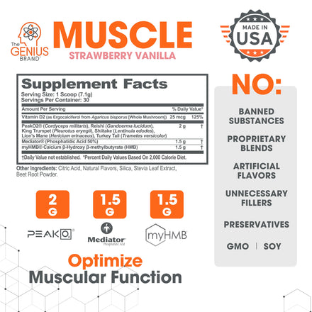 Genius Muscle Builder & Mass Gainer, Strawberry Vanilla -Supplement in Pakistan