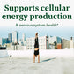 MegaFood Balanced B Complex - B Complex Vitamin Supplement Helps Support Cellular Energy - Vitamin B12, Vitamin B6 & Folate, - Vegan, Kosher, Non GMO - Made Without 9 Food Allergens - 90 Tabs