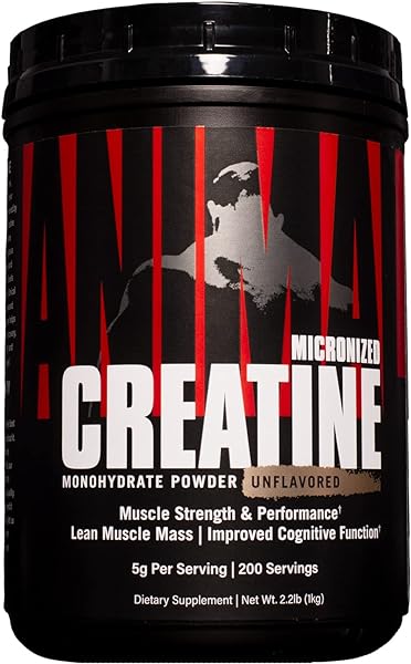 Micronized Creatine – Delay Muscle Fatigue, Enhance Endurance, Boost Strength – Creatine Monohydrate Supplement for Men & Women – 1000g in Pakistan in Pakistan