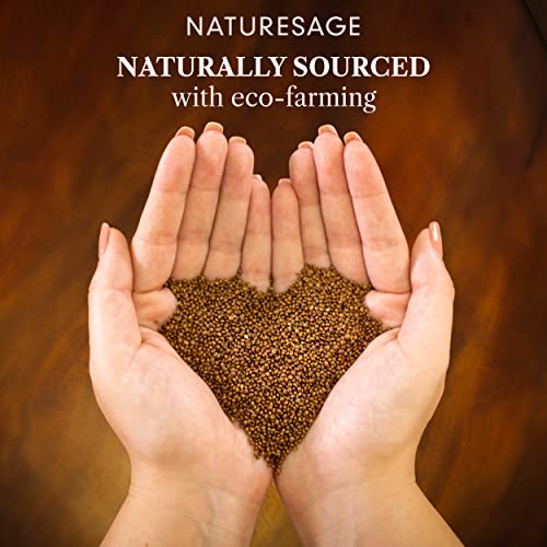 Naturesage Vegan Omega 3 6 9 Supplement Plant Based Fish Oil Supplement in Pakistan