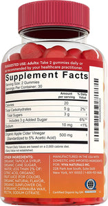 Organic Apple Cider Vinegar Gummies (60 Gummies) - ACV Gummies with The Mother, Supports Healthy Digestion & Provides Antioxidant-Like Support, Crisp Apple Flavor