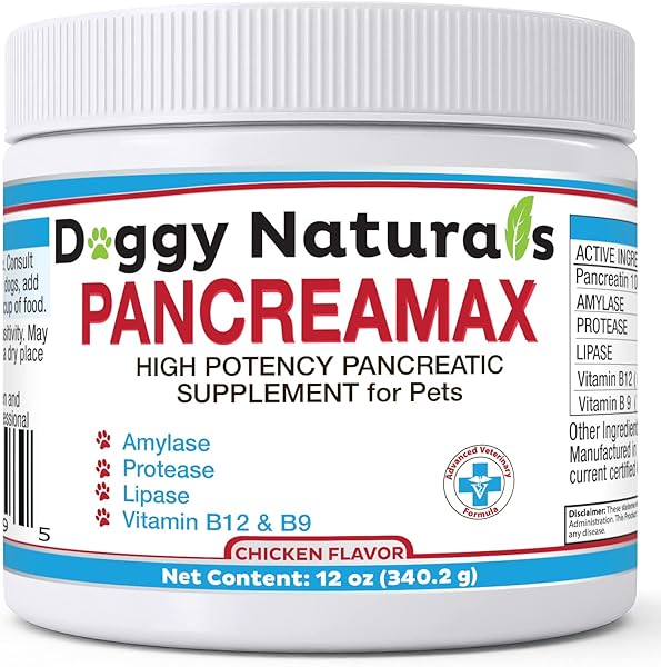 PancreaMax 10x Pancreatic Digestive Enzymes S in Pakistan