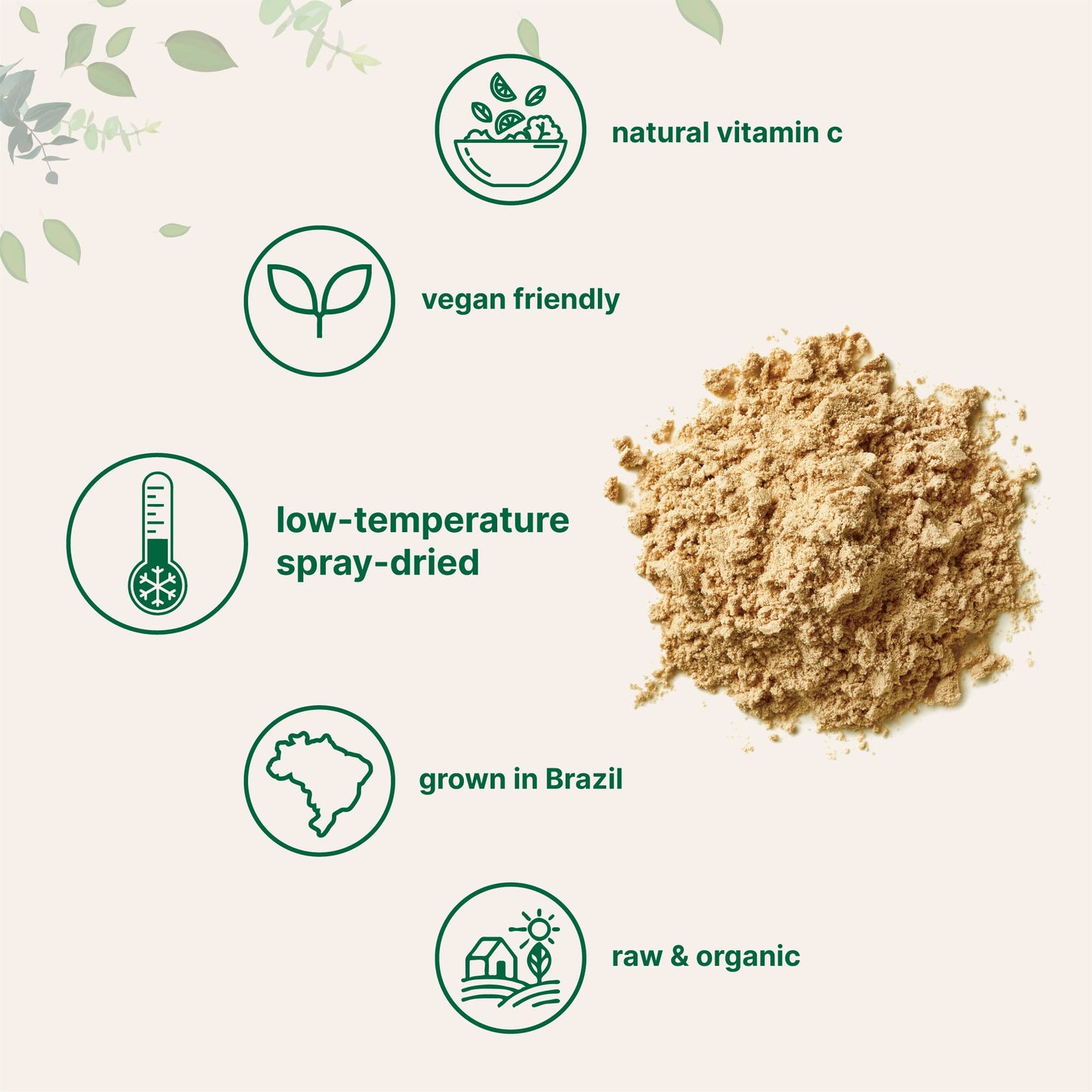 Pure Acerola Cherry Powder Organic, Natural Organic Vitamin C for Immune System Booster, 8 Ounce, Best Superfoods for Beverage, Smoothie and Drinks, Vegan Friendly, Brazil Origin
