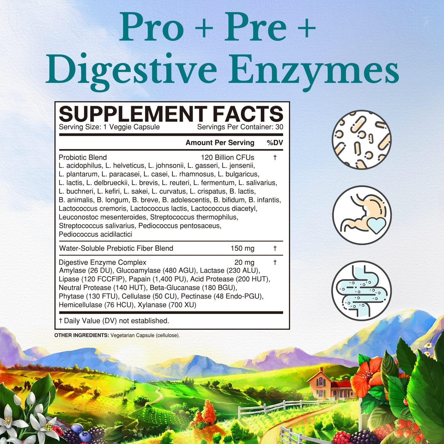 VITALITOWN Probiotics 120 Billion CFUs | 36 Strains, with Prebiotics & Digestive Enzymes for Men Women | Shelf Stable | Digestive & Immune Support | Vegan, Non-GMO | 30 Delayed Release Veg Caps
