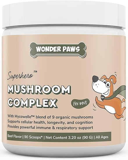 WONDER PAWS in Pakistan