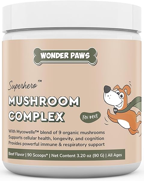 WONDER PAWS in Pakistan in Pakistan