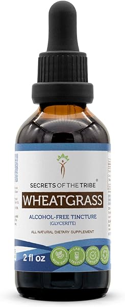 Wheatgrass Alcohol-Free Liquid Extract, Made with Wheatgrass (Triticum aestivum) Dried Leaf (2 FL OZ) in Pakistan