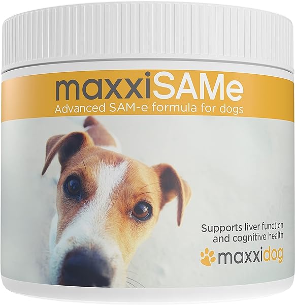 maxxipaws in Pakistan